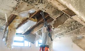 Best Mold Prevention Services  in Depew, NY